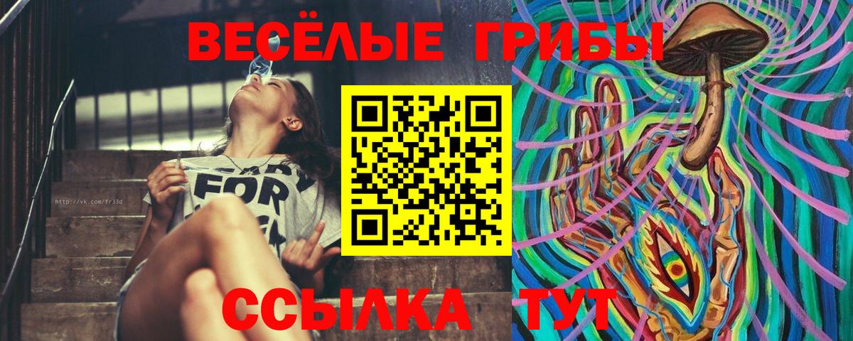 Сергиев Посад  Галлюциногенные грибы мухоморы  Вход с VPN  Галлюциногенные грибы мухоморы 